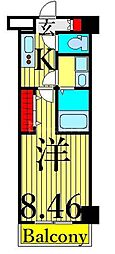 ホーリーホック 603
