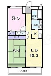 アフロディ布市