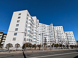 宮の森グランドハイツ 610