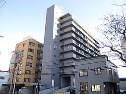 PLUMOSUS（プルモーサス） 906