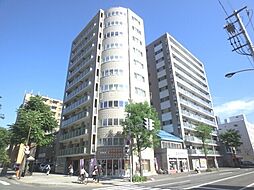 ビッグパレス南4条 609