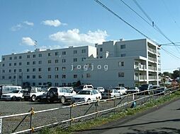 西野ハイデンスII 508