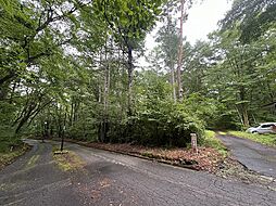 嬬恋村城山別荘地