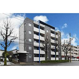 CAMELLIA　GARDEN 403