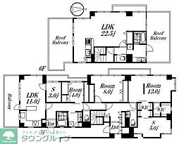 ロイヤルシティ西荻窪II 501