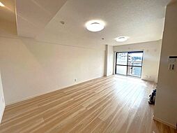 ヴェルドミール支倉