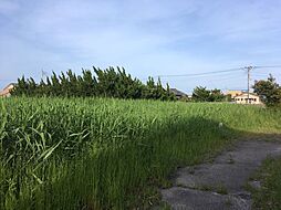 山武郡九十九里町片貝の土地