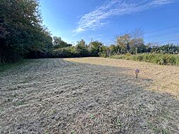 東金市家徳の土地