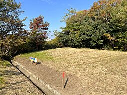 東金市家徳の土地