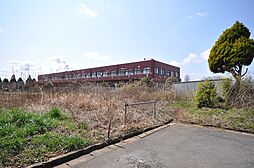 八街市文違の土地