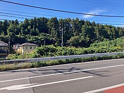 山武市埴谷