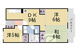 パストラル20