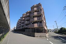 ドメス稲田堤