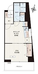 ルピナス池上