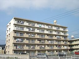 ニューコーポ内山 103