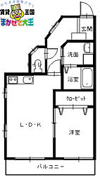 パレスリーガル 305