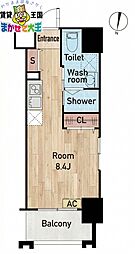 ＰＬＵＭ・ＹＵ