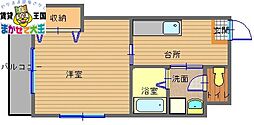 セレスティア・カネガエ