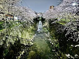 丸美パークマンション石川橋