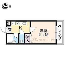 フォルム大将軍 203