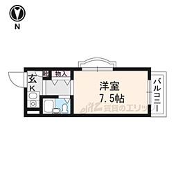 フェニックス樋口