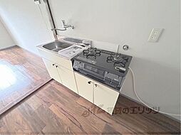 セントポーリア