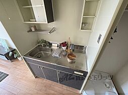 テソロナガノ 305