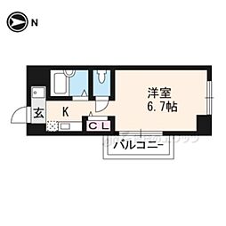 ゴールドクレスト