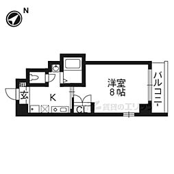 カシオペア