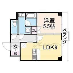 コリンノルド D33