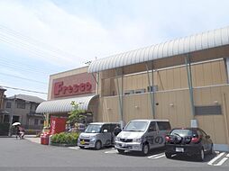 カイデハイツ 203