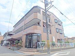 マーベラス 305