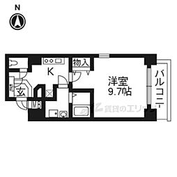 ルピナス紫明 309