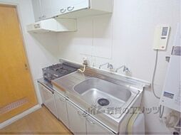 ニューホワイト 45