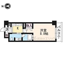 ヴィヴィ・プリメラ