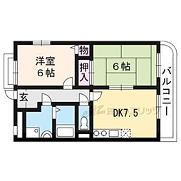 フォルセ桂