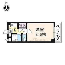ジーアップ・レイ 202