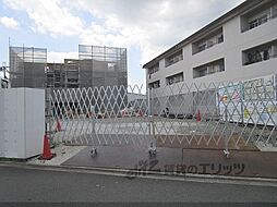 アジュール修学院 304