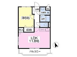 Beauterraceステラ 203