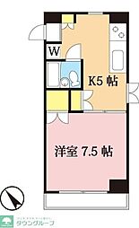 シェスタカメオ 101