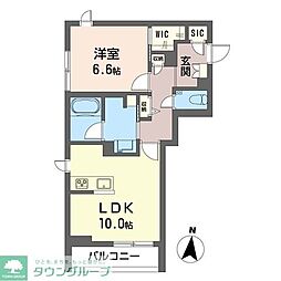 セントリビエ 203