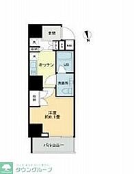 文京区関口１丁目