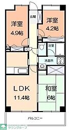 ハイム・プルヌス