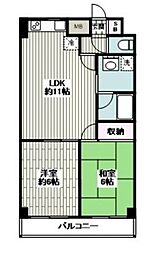 トロトゥーナ大和