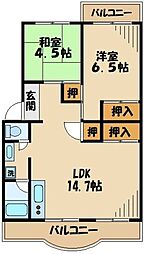 コリーナ33