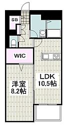 シャンデルブ 505