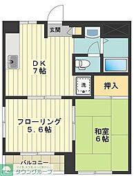 エーデルワイス