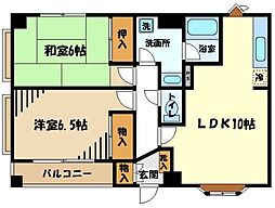 ラークスパー