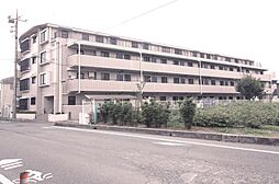 コスモ大宮北 304