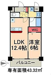 ヴィオラコート